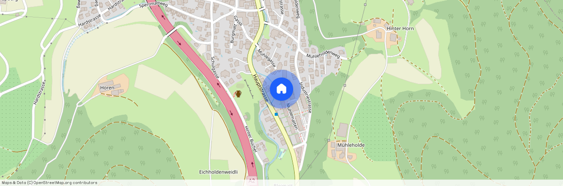 Mühlematten 6, 4455 Zunzgen