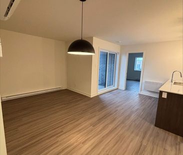 3 CH - 1 SDB - Saint-Hyacinthe - $1,600 /mo - Photo 2
