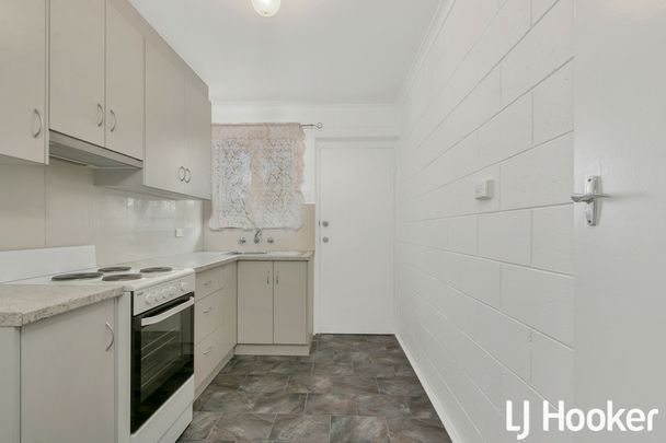 Freshly renovated unit - Photo 1