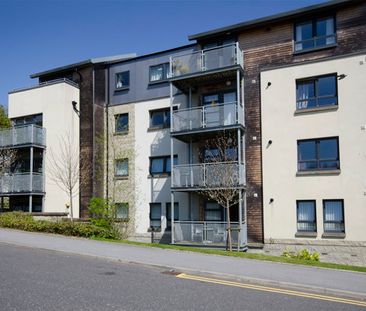 3 Hammerman Drive, AB24 4SF, Aberdeen - Photo 4