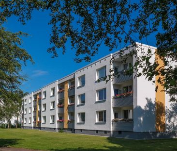 Wird exklusiv modernisiert: Erdgeschoss-Wohnung in Detmerode - Foto 2