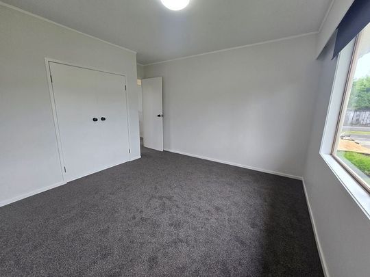 Freshly Renovated 3 Bedroom Home - Photo 1