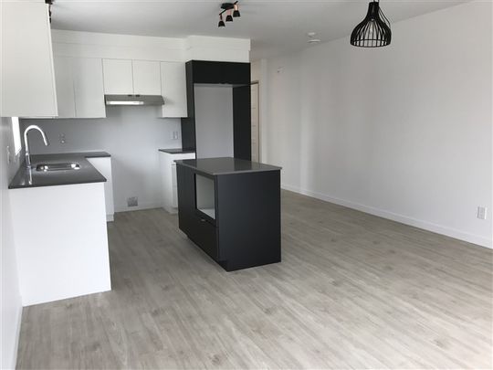 Beau 4 1/2 (Août) situé au 886-202 rue Lamarche, Sherbrooke, J1H 0M9 - Photo 1