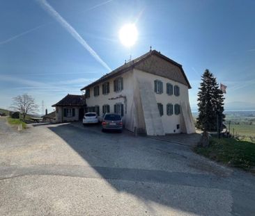 Au coeur du vignoble, bel appartement renové de 3 pièces - Photo 2