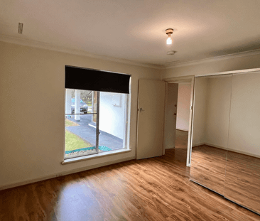Light filled Living Opposite Yokine Reserve - Photo 2