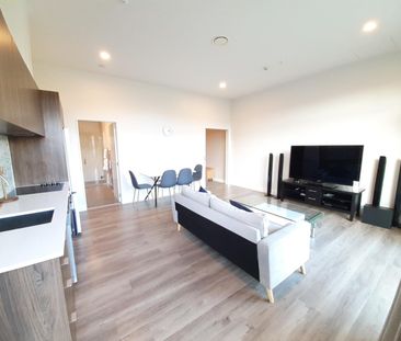 Library Lane Cutie - Photo 4