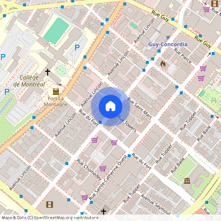 Boulevard De Maisonneuve Ouest, Montréal, QC H3H 1K3