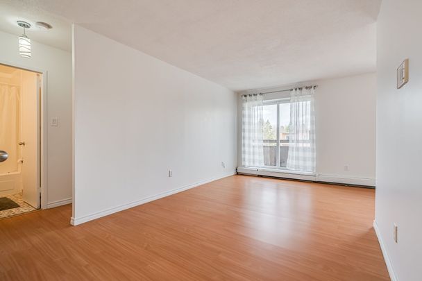For Lease - 9 Princess Street Unit# 304, Orangeville, Ontario - Photo 1