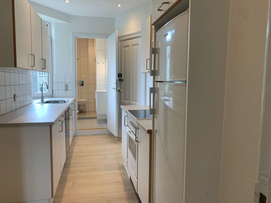 Lejlighed i hjertet af Aalborg med 3 værelser - Photo 1