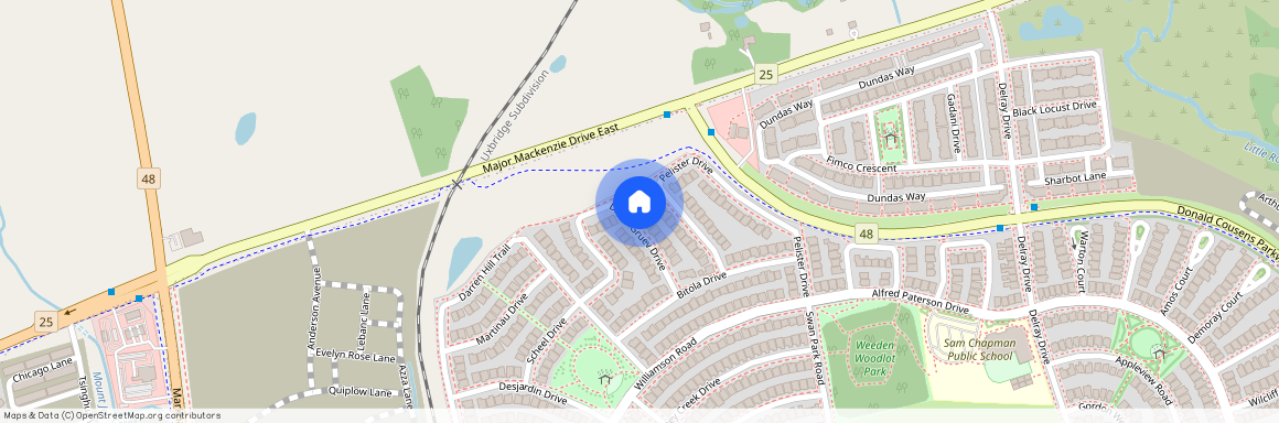44 Dame Gruev Drive, Markham