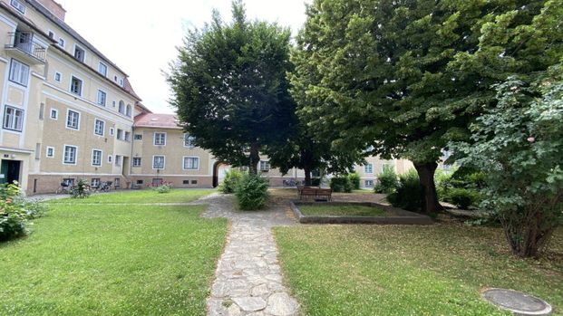 Gemütliche Drei- Zimmer Wohnung im Zentrum von Krems - Photo 1