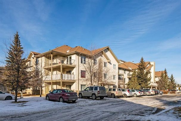 20 Harvest Rose Park, Calgary - Photo 1