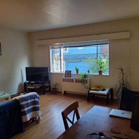 KITSILANO NICE LARGE 1 BR – TOP FLOOR - Photo 4