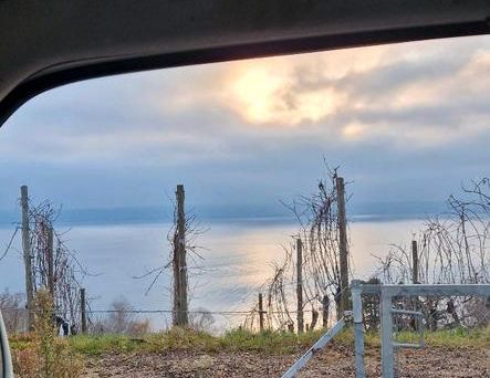 Wohnung im Grünen - Photo 1