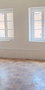 Location Appartement 1 pièce 47m² CHALON SUR SAONE 71100 - Photo 3
