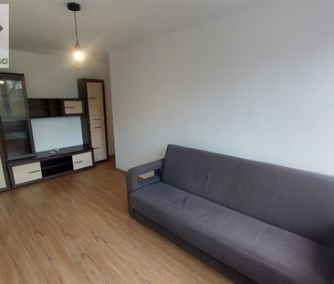 Mysłowice, Wielka Skotnica - Zdjęcie 6