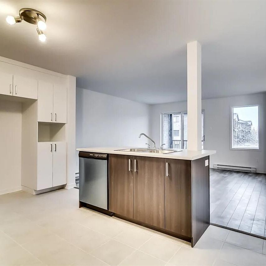 17 Rue De Liverpool (Aylmer) Magnifique Appartement 4 1/2, Pour Un Bail D'un An - Photo 1