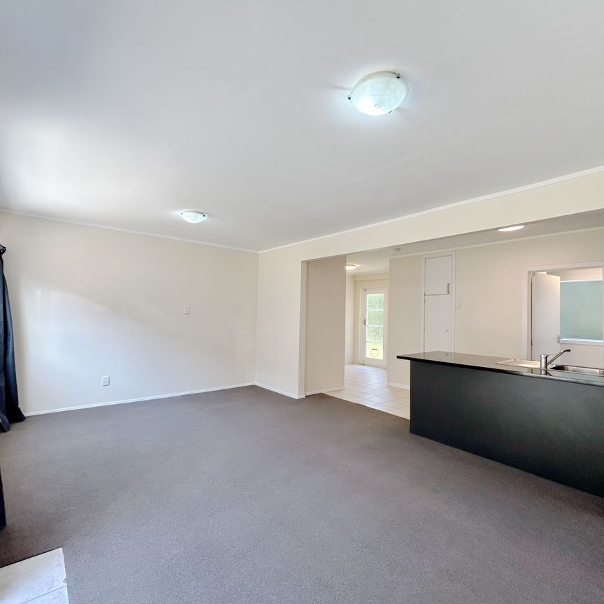 Spacious one bedroom unit plus carpark - Photo 1