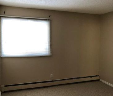 Amazing 2 Bedroom Top Floor Apartment!! - Photo 6