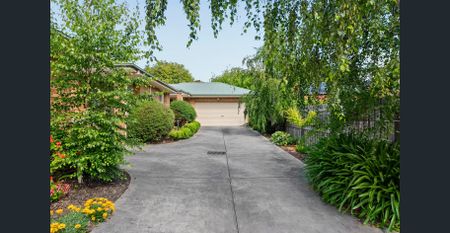 Spacious 2 Bedroom for Lease - Prime Location! - Photo 4