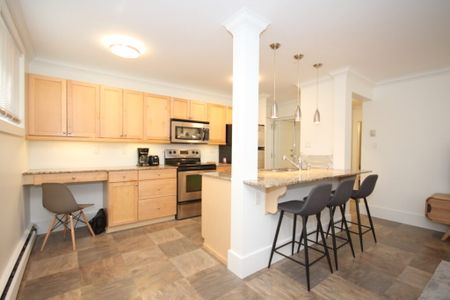 Edmonton Furnished Condo Rental in Oliver - Trendy 1 Bedroom In Oliver - Photo 5