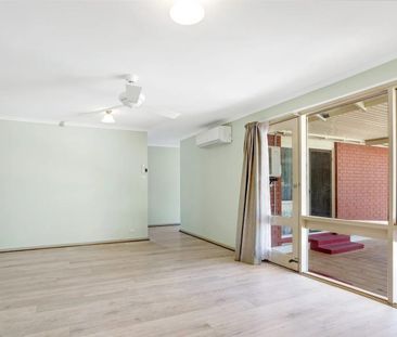 Neat and Tidy - Photo 1