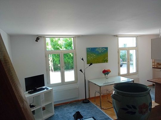Apartment for rent in St. Gallen, Switzerland - Photo 1