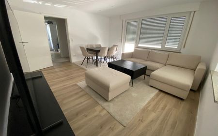 3-Zimmerwohnung mit Wlan, TV, Küche, Dusche/WC, Waschmaschine, Trockner, Balkon und Garage - Photo 2