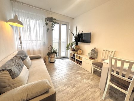 Mieszkanie | Wynajem - Photo 3