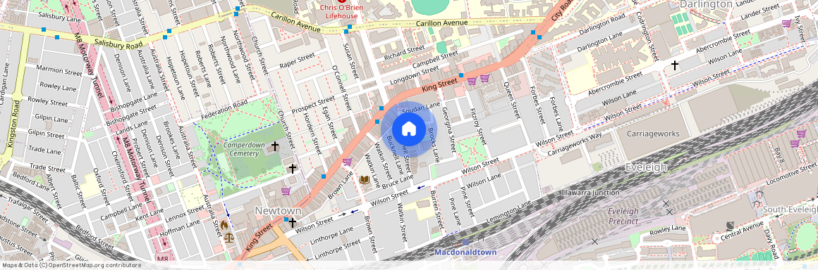 6 Bucknell Street, Newtown NSW 2042