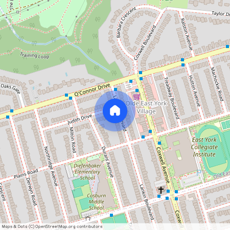 100 Lankin Boulevard Unit# Basement, Toronto