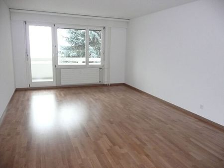 Familienfreundliche Überbauung im Grünen - Photo 5