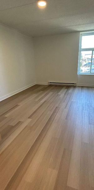 Studio - Saint-Charles-Borromée - $1,049 /mo - Photo 1