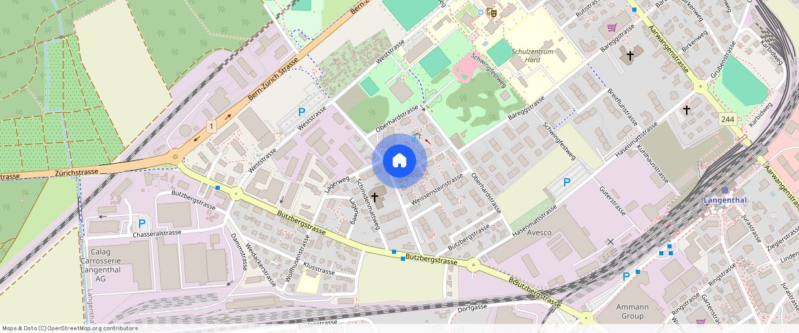 Weissensteinstrasse **, 4900, Langenthal