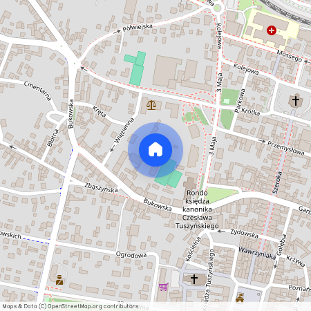 Grodzisk Wielkopolski, Grodzisk Wielkopolski, grodziski, wielkopolskie