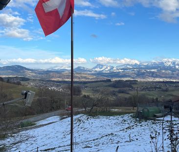 3.5 Zimmer, 70 m² - Photo 5