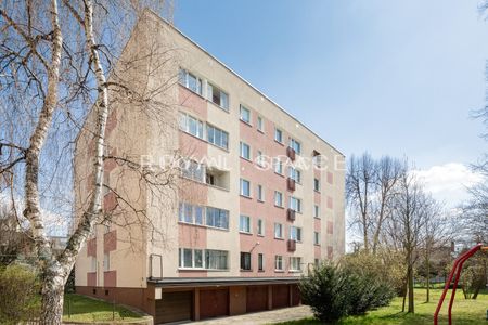 Studio w najlepszej lokalizacji – blisko centrum! - Zdjęcie 4