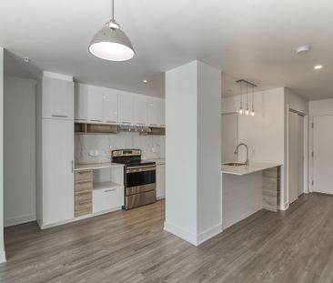9675 Av. Papineau - Photo 4