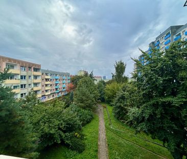 Niski budynek * winda * umeblowane * balkon - Фото 5