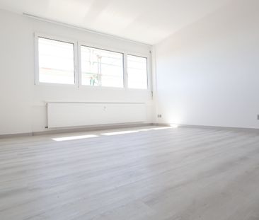 Luminoso 2.5 locali APPENA RISTRUTTURATO a Coldrerio - Foto 3