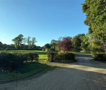 Spacious unfurnished first floor flat in a rural location with MOST... - Photo 4