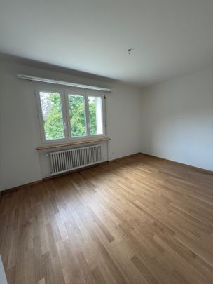 4 Zimmer-Wohnung in Feldmeilen mieten - Photo 1