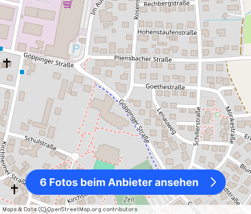 3 Zimmerwohnung mit großzügigem Grundriß, Schwedenofen und Terrasse - Foto 1