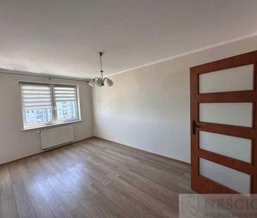 Siedlce - Zdjęcie 6