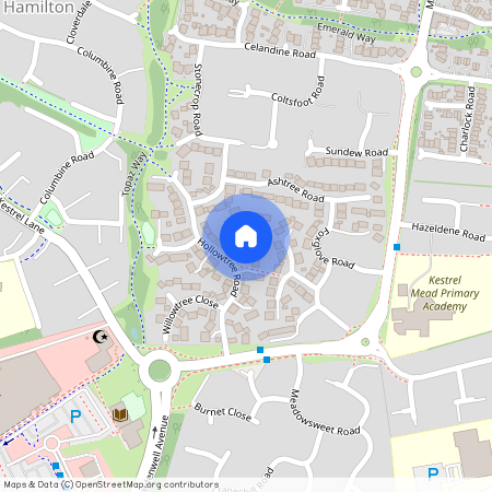 Oaktree Close, Hamilton, LE5
