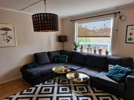 Boplatsgatan, Trollhättan - Photo 5