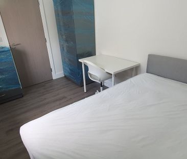 79 Pearl Street, Roath, Cardiff, CF24 1PJ - Photo 6