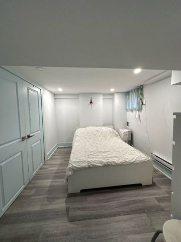 For Lease - 48 Euclid Avenue Unit# Lower, Toronto, Ontario - Photo 5