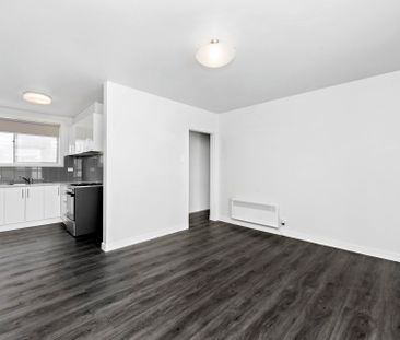 Renovated two bedroom unit with courtyard - Photo 2