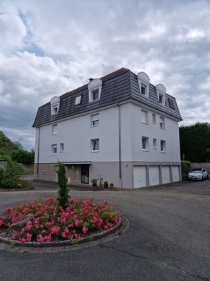 T3 Eschau WIBOLSHEIM - Photo 1